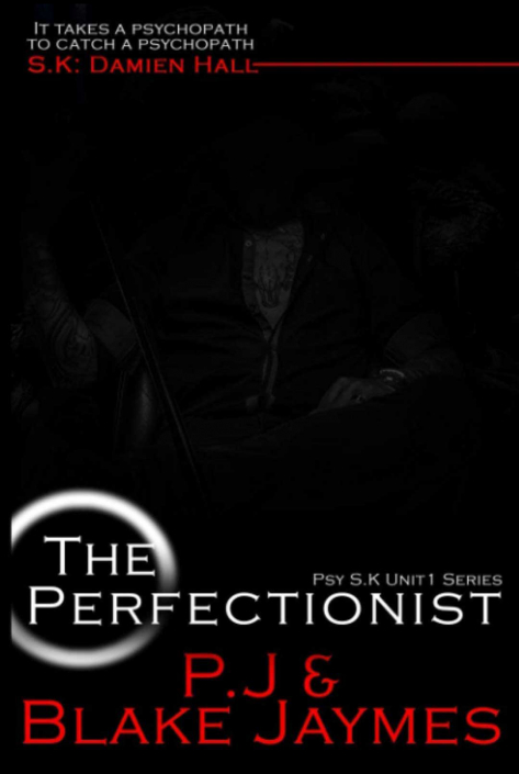 S.K The Perfectionist book cover
